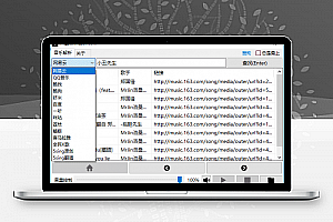 天霸音乐解析工具v2.0 支持14个平台的歌曲下载