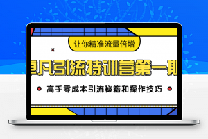 卓凡引流特训营第一期：高手零成本引流秘籍和操作技巧，让你精准流量倍增