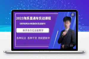 2023淘系直通车保姆式运营讲解，新手如何从0快速成长实战操作，新手多方位全能教学