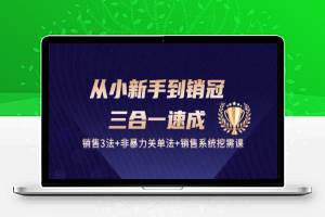 从小新手到销冠 三合一速成：销售3法+非暴力关单法+销售系统挖需课 (27节)