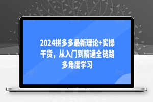 2024拼多多最新理论+实操干货，从入门到精通全链路多角度学习