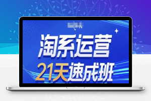 淘系运营21天速成班(更新24年6月)，0基础轻松搞定淘系运营，不做假把式