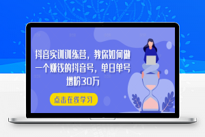 抖音实训训练营，教你如何做一个赚钱的抖音号，单日单号增粉30万