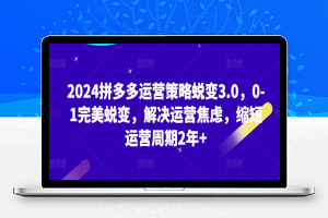 2024拼多多运营策略蜕变3.0，0-1完美蜕变，解决运营焦虑，缩短运营周期2年+