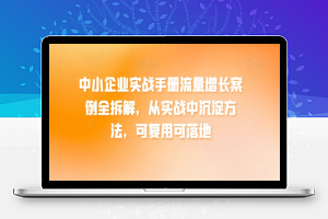 中小企业实战手册流量增长案例全拆解，从实战中沉淀方法，可复用可落地