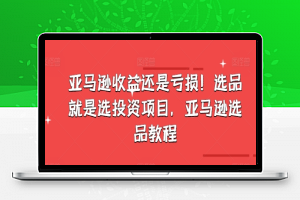 亚马逊收益还是亏损！选品就是选投资项目，亚马逊选品教程