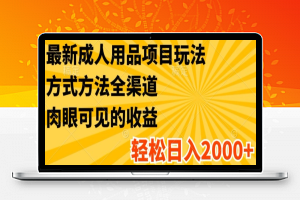 最新成人用品项目玩法，方式方法全渠道，轻松日入2K+【揭秘】