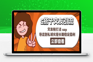 某收费888-S搭子交友引流，交友粉打法 sop，导流到私域实现长期稳定盈利