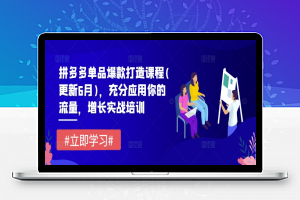 拼多多单品爆款打造课程(更新6月)，充分应用你的流量，增长实战培训