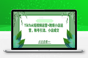 TikTok短视频运营+跨境小店运营，账号引流、小店成交