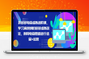 拼多多电商虚拟进阶课，学习高利润的多多虚拟玩法，利用电商思维进行选品+运营