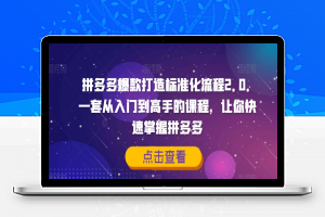 拼多多爆款打造标准化流程2.0，一套从入门到高手的课程，让你快速掌握拼多多