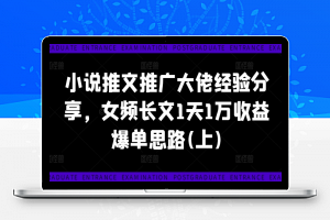 小说推文推广大佬经验分享，女频长文1天1万收益爆单思路(上)