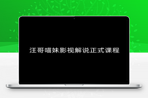 汪哥影视解说正式课程：剪映/PR教学/视解说剪辑5大黄金法则/全流程剪辑7把利器等等