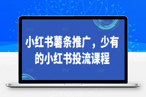 小红书薯条推广，少有的小红书投流课程