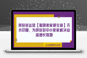 拼多多运营【聪明卖家都在做】无水印版，为拼多多中小卖家解决业绩增长难题