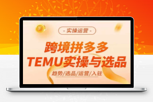 跨境拼多多TEMU实操与选品，多多temu跨境选品运营实操