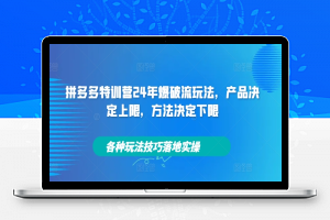 拼多多特训营24年爆破流玩法，产品决定上限，方法决定下限，各种玩法技巧落地实操