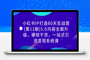 小红书IP打造60天实战营(第11期)5.0​内容全面升级，硬核干货，一站式引流变现系统课