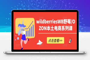 wildberriesWB野莓/OZON本土电商系列课，掌握WB产品优化，出单技巧和订单处理等