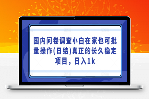 国内问卷调查小白在家也可批量操作(日结)真正的长久稳定项目，日入1k【揭秘】