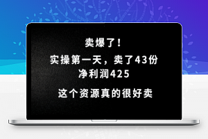 这个资源，需求很大，实操第一天卖了43份，净利润425【揭秘】